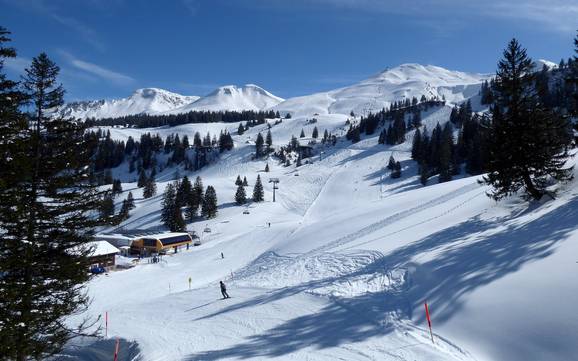 Meilleur domaine skiable dans le canton de Schwyz – Évaluation Stoos – Fronalpstock/Klingenstock