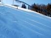 Domaines skiables pour skieurs confirmés et freeriders Monts Rothaar – Skieurs confirmés, freeriders Winterberg (Skiliftkarussell)