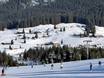 Kitzbüheler Alpen: offres d'hébergement sur les domaines skiables – Offre d’hébergement Steinplatte-Winklmoosalm – Waidring/Reit im Winkl