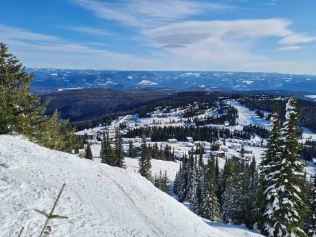 Thompson Okanagan: Taille des domaines skiables – Taille Silver Star
