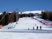 Domaines skiables pour les débutants dans le Val di Fassa – Débutants Alpe Lusia – Moena/Bellamonte