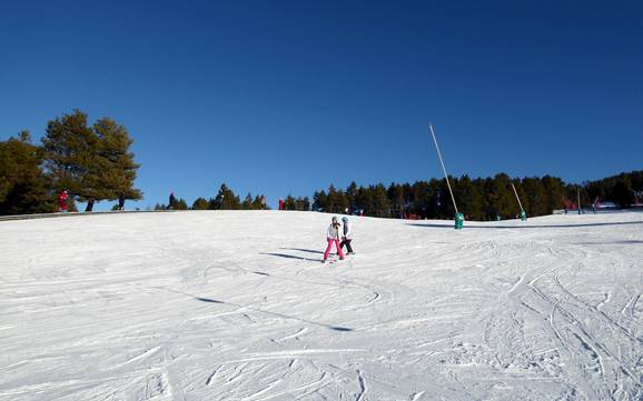 Domaines skiables pour les débutants dans la province de Gérone – Débutants La Molina/Masella – Alp2500