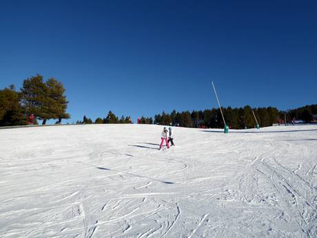 Domaines skiables pour les débutants dans les Pyrénées – Débutants La Molina/Masella – Alp2500