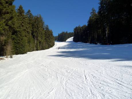 Forêt de Bavière: Taille des domaines skiables – Taille Pröller Skidreieck (St. Englmar)
