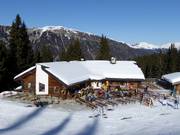Chalet de restauration recommandé : Waldhütte