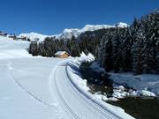 Piste de ski de fond en altitude à Zug