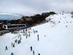 Domaines skiables pour les débutants dans la Cordillère australienne (Great Dividing Range) – Débutants Mt. Buller