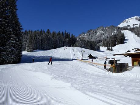 Domaines skiables pour les débutants dans la Kleinwalsertal (vallée de Kleinwals) – Débutants Ifen