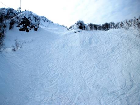 Domaines skiables pour skieurs confirmés et freeriders Krasnaïa Poliana (Sotchi) – Skieurs confirmés, freeriders Rosa Khutor
