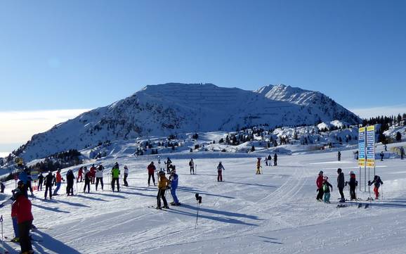 Frioul-Vénétie Julienne: Taille des domaines skiables – Taille Zoncolan – Ravascletto/Sutrio