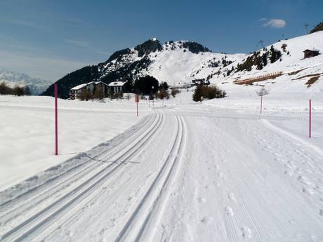 Ski nordique Région lémanique – Ski nordique Aletsch Arena – Riederalp/Bettmeralp/Fiesch Eggishorn
