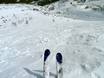 Domaines skiables pour skieurs confirmés et freeriders Alberta – Skieurs confirmés, freeriders Castle Mountain