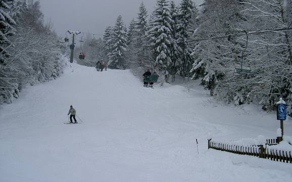 Skier dans le parc naturel de l'Oberer Bayerischer Wald