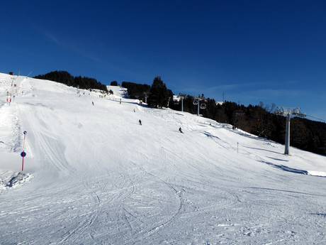Diversité des pistes Snow Card Tirol – Diversité des pistes SkiWelt Wilder Kaiser-Brixental