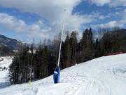 Perches à neige sur le domaine skiable du Tirolina