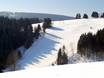 Domaines skiables pour skieurs confirmés et freeriders Monts Rothaar – Skieurs confirmés, freeriders Postwiesen Skidorf – Neuastenberg