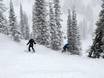Domaines skiables pour skieurs confirmés et freeriders Utah – Skieurs confirmés, freeriders Snowbasin