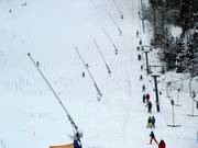 Perches à neige sur le domaine skiable du Tirolina