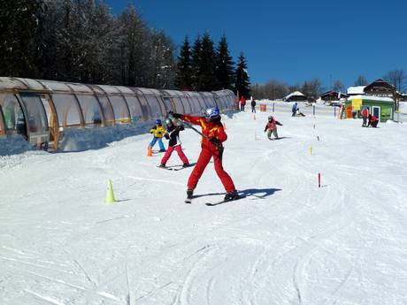 Stations de ski familiales régions allemandes de moyenne montagne – Familles et enfants Mitterdorf (Almberg) – Mitterfirmiansreut
