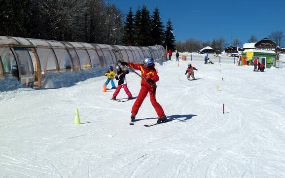 Stations de ski familiales Freyung-Grafenau – Familles et enfants Mitterdorf (Almberg) – Mitterfirmiansreut