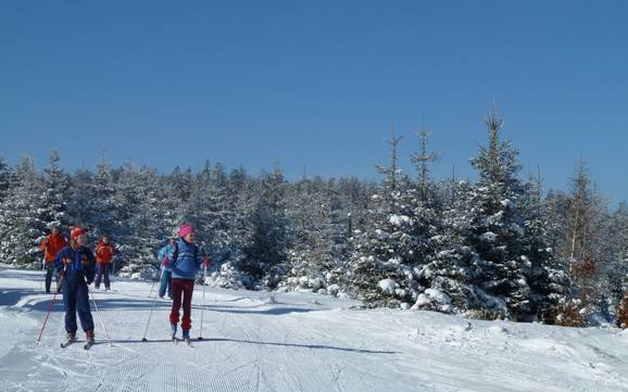 Ski nordique Forêt-Noire du Nord – Ski nordique Kaltenbronn
