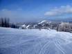 Stations de ski familiales Beskides – Familles et enfants Szczyrk Mountain Resort