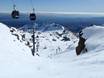 Domaines skiables pour skieurs confirmés et freeriders Parc national de Tongariro – Skieurs confirmés, freeriders Whakapapa – Mt. Ruapehu