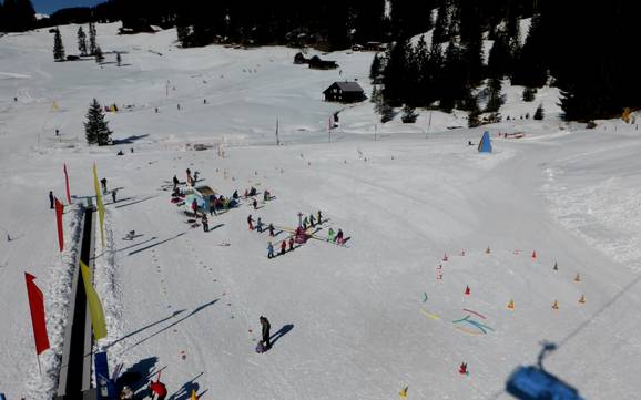 Stations de ski familiales Haslital (vallée de l'Hasli) – Familles et enfants Meiringen-Hasliberg