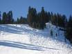 Domaines skiables pour skieurs confirmés et freeriders Lake Tahoe – Skieurs confirmés, freeriders Homewood Mountain Resort