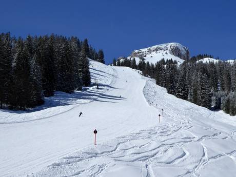 Domaines skiables pour skieurs confirmés et freeriders Kleinwalsertal (vallée de Kleinwals) – Skieurs confirmés, freeriders Ifen