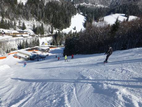 Domaines skiables pour skieurs confirmés et freeriders Forêt-Noire – Skieurs confirmés, freeriders Feldberg – Seebuck/Grafenmatt/Fahl