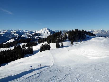 Kitzbühel (district): Taille des domaines skiables – Taille SkiWelt Wilder Kaiser-Brixental