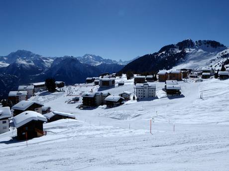 Valais: Domaines skiables respectueux de l'environnement – Respect de l'environnement Aletsch Arena – Riederalp/Bettmeralp/Fiesch Eggishorn