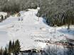 Domaines skiables pour les débutants dans le massif du Dachstein  – Débutants Dachstein West – Gosau/Russbach/Annaberg