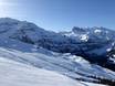 Oberland bernois: Taille des domaines skiables – Taille Adelboden/Lenk – Chuenisbärgli/Silleren/Hahnenmoos/Metsch