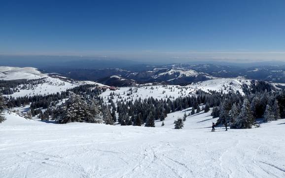 Skier en Serbie