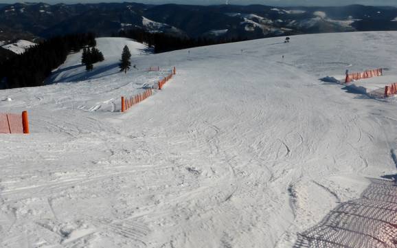 Domaines skiables pour les débutants dans la Région du Belchen de la Forêt-Noire  – Débutants Belchen