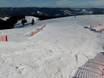 Domaines skiables pour les débutants dans la Forêt-Noire du Sud – Débutants Belchen