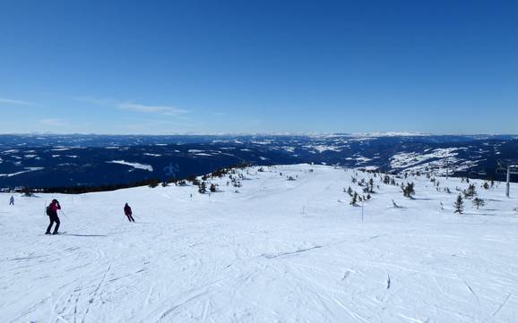 Meilleur domaine skiable à Lillehammer – Évaluation Hafjell