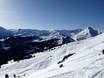 Oberland bernois: Taille des domaines skiables – Taille Rinderberg/Saanerslochgrat/Horneggli – Zweisimmen/Saanenmöser/Schönried/St. Stephan