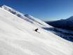 Domaines skiables pour skieurs confirmés et freeriders Massif d'Adamello-Presanella – Skieurs confirmés, freeriders Ponte di Legno/Tonale/Glacier Presena/Temù (Pontedilegno-Tonale)