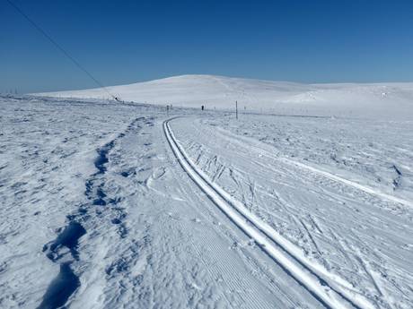 Ski nordique Suède du Nord – Ski nordique Dundret Lapland – Gällivare
