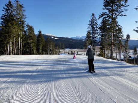 Domaines skiables pour les débutants dans la zone du Skirama Dolomiti – Débutants Lavarone
