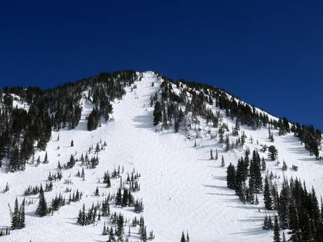 Domaines skiables pour skieurs confirmés et freeriders Utah – Skieurs confirmés, freeriders Alta
