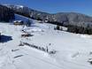 Domaines skiables pour les débutants dans le district de Kufstein – Débutants Ski Juwel Alpbachtal Wildschönau