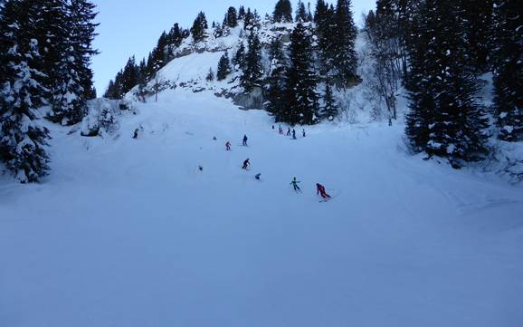 Domaines skiables pour skieurs confirmés et freeriders Toggenbourg – Skieurs confirmés, freeriders Wildhaus – Gamserrugg (Toggenburg)