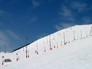 Domaine skiable pour la pratique du ski nocturne Alpe d'Huez - Le Signal
