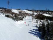 Les pistes faciles prédominent dans la zone inférieure du domaine skiable