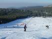 Domaines skiables pour les débutants dans la Forêt-Noire – Débutants Mehliskopf