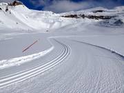 Pistes de ski de fond au Fallbichl ouvertes au printemps
